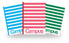 Vở học sinh cấp I, II